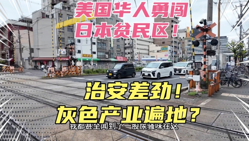 118正版免费资料大全最新版本,小米,精准解释落实的人生哲理_入门版V8.54