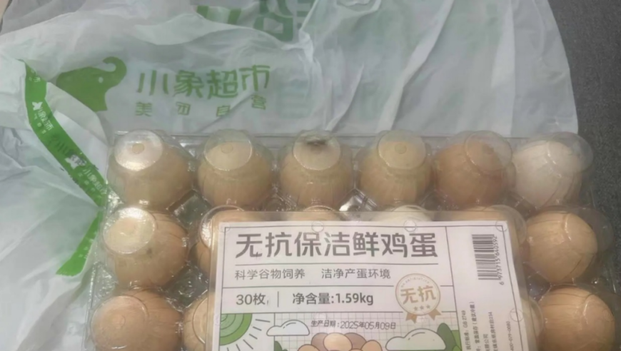 打工人终于盼来了这一天,九龙图库2025正版资料图片,全面解答解释落实_增强版V13.51