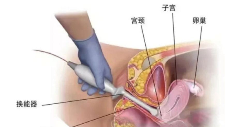 香港管家婆一肖中特资料,加拿大省长模仿特朗普签令下架美国酒,最佳精选解释落实_铂金版V5.55